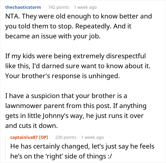 Discussion on brother's parenting style being criticized for lack of discipline; sister intervenes in comments thread.
