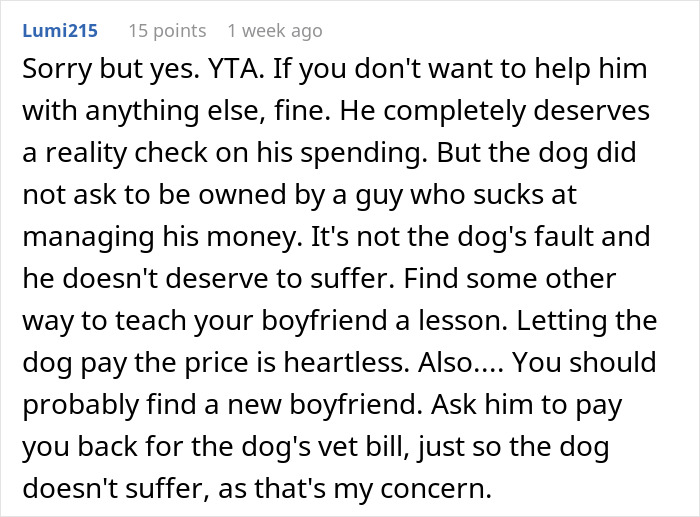 User comment about boyfriend spending on toys and refusing to pay for dog's vet bill, suggesting better money management.