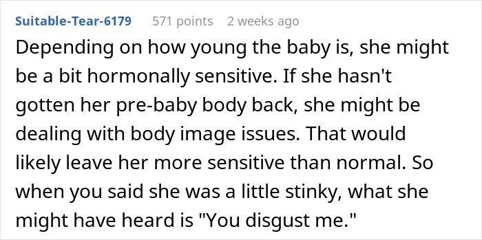 Reddit comment discusses sensitivity and body image after childbirth related to hygiene. Reddit comment discusses sensitivity and body image after childbirth related to hygiene.