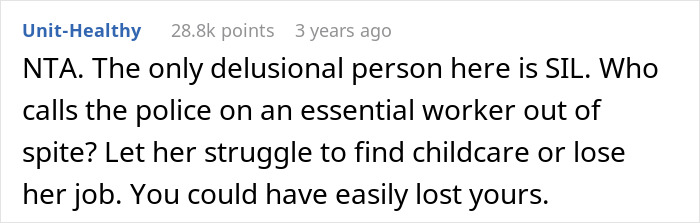 Reddit comment discussing drama over SIL and child abandonment police report.