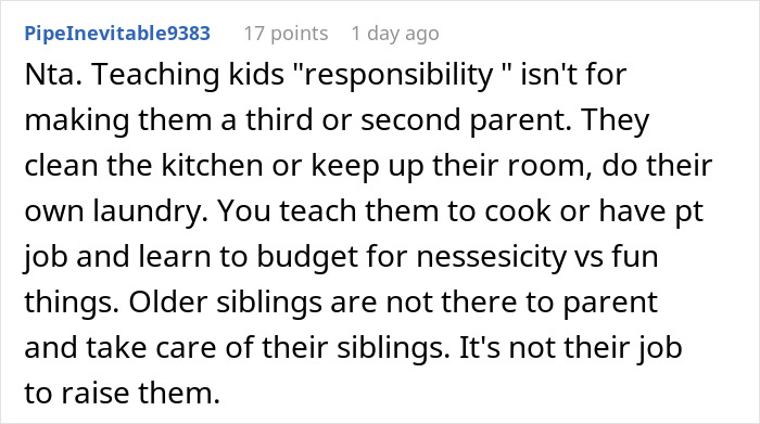 Text screenshot of a comment about children, responsibility, and parenting roles. Text screenshot of a comment about children, responsibility, and parenting roles.
