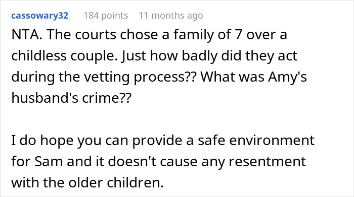 Reddit comment discussing sibling adoption and fertility challenges.