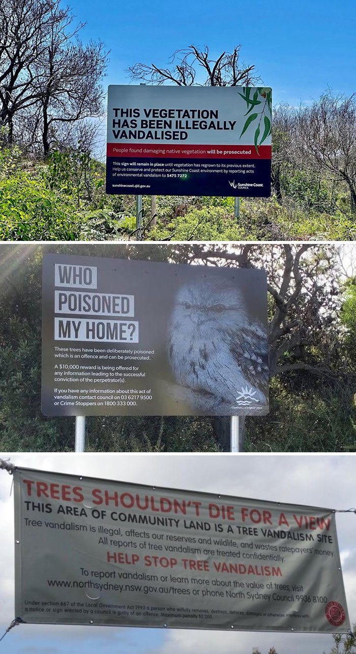 Signs addressing tree vandalism, highlighting how countries care for their citizens and environment.