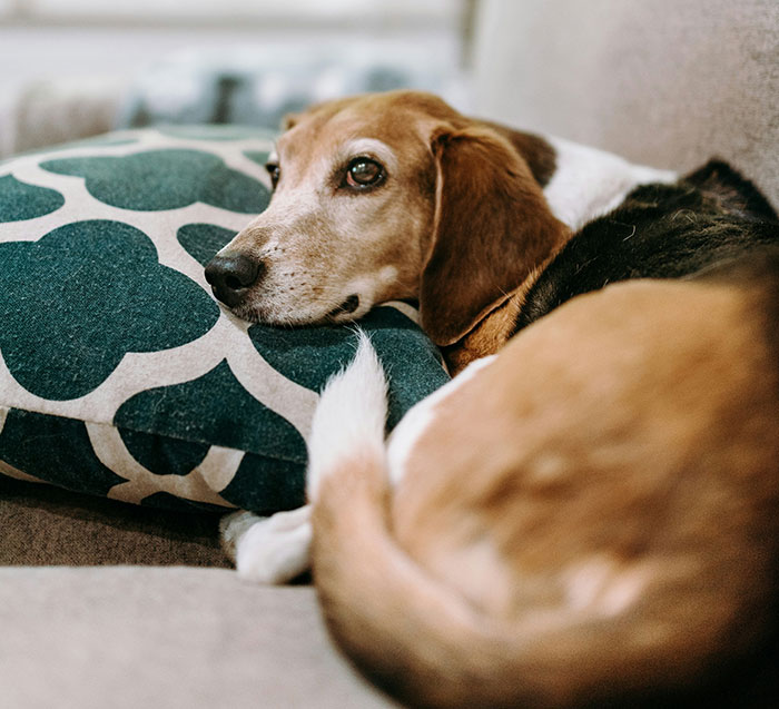 People Tried These 30 Psychological Tricks And Noticed That They Actually Worked