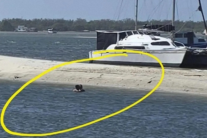 Couple in water near boat at public swimming spot, circled in image, linked to indecent act controversy.