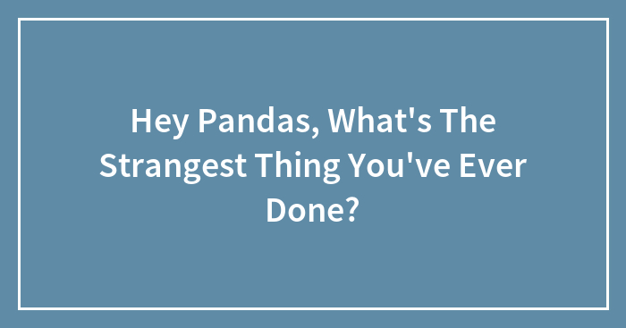 Hey Pandas, What’s The Strangest Thing You’ve Ever Done? (Closed)