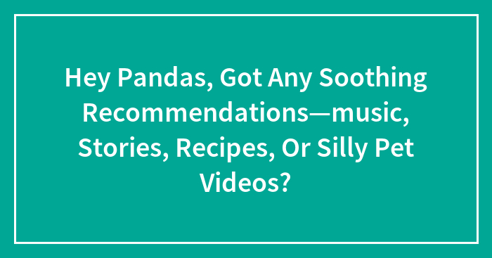 Hey Pandas, Got Any Soothing Recommendations—music, Stories, Recipes, Or Silly Pet Videos? (Closed)