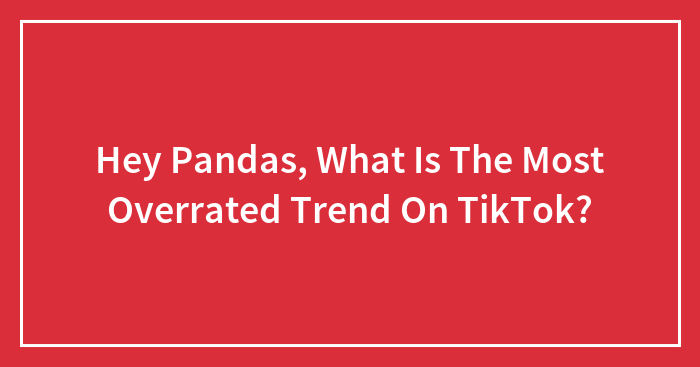 Hey Pandas, What Is The Most Overrated Trend On TikTok?