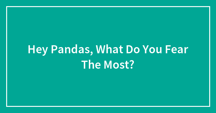 Hey Pandas, What Do You Fear The Most? (Closed)