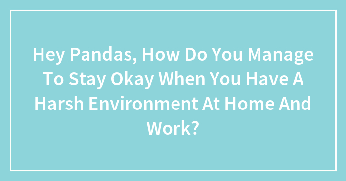 Hey Pandas, How Do You Manage To Stay Okay When You Have A Harsh Environment At Home And Work? (Closed)