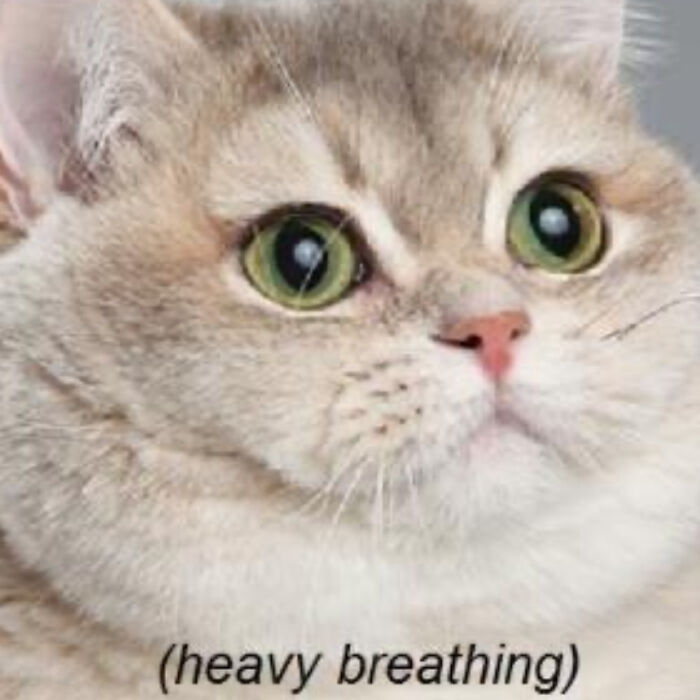 I Was Tired Of Seeing The Same Recycled Memes, So I Made Some New Ones (13 Pics)