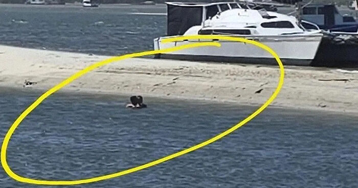 “Disgusting”: Couple Performing X-Rated Act At Family Swimming Spot Demands Money From Onlooker