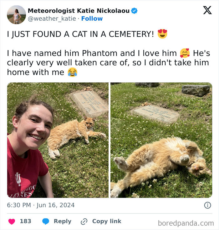 A cute cemetery cat named Phantom relaxing on the grass near gravestones.