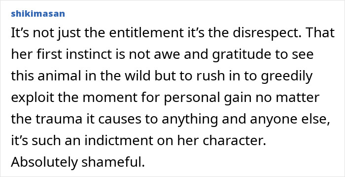 Text comment expressing frustration over American tourist snatching a baby wombat in Australia. Text comment expressing frustration over American tourist snatching a baby wombat in Australia.