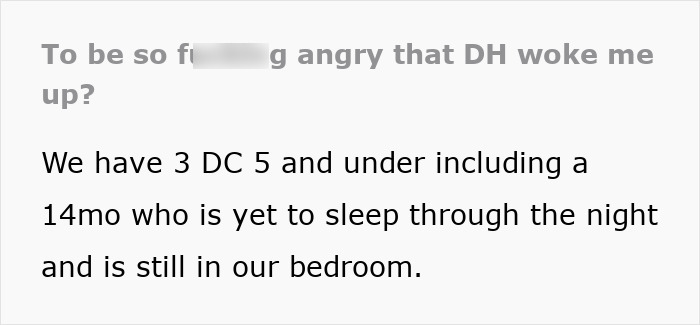 Text discussing a mom of 3 frustrated with her husband for waking her up; children are 5 and under, youngest is 14 months.