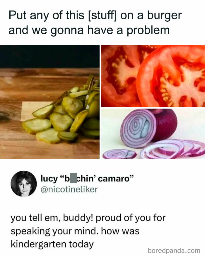 Humor meme about burger toppings, featuring pickles, tomatoes, onions, and a playful social media comment.