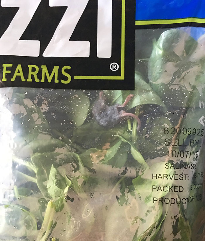 Packaged spinach with a small rodent inside, illustrating a disgusting food discovery.