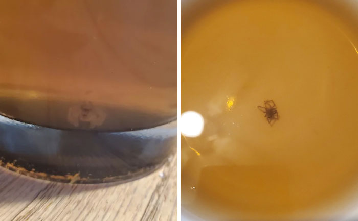 A spider found in drinks, surprisingly disgusting discovery in food and beverages.
