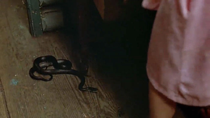 A small snake on a wooden floor near a person in a pink outfit, capturing a disturbing backstory.