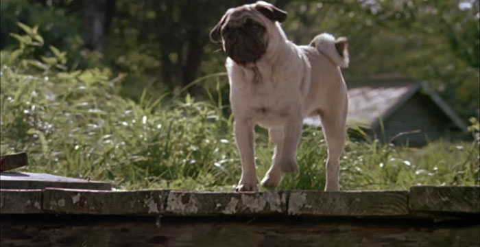 "Candyland Invented During The Polio Epidemic": 30 Wholesome Things That Are Actually Disturbing