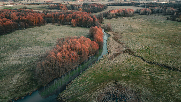 Aerial view of a city landscape with autumnal trees and winding river.