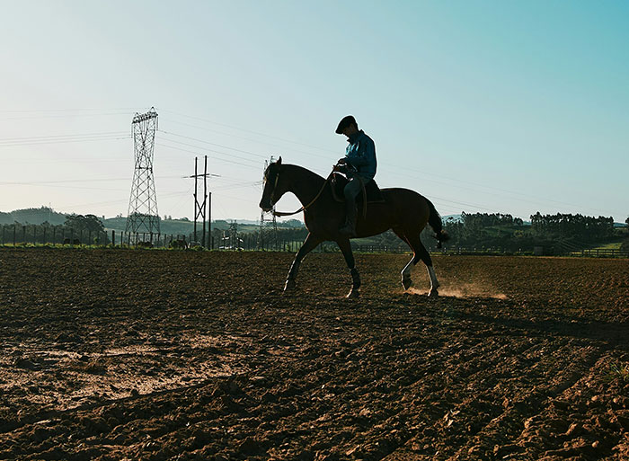 Person riding a horse in a vast field under a clear sky, depicting the unexpected family secrets of rural life.