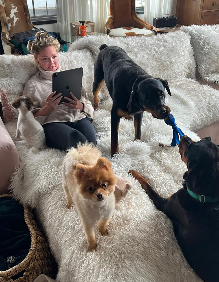 "Serial Complainer": Katherine Heigl Sues Dog Rescue For Alleging She Abandoned Puppies "Serial Complainer": Katherine Heigl Sues Dog Rescue For Alleging She Abandoned Puppies