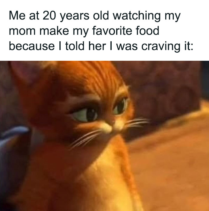 Cat meme with a funny caption about craving favorite food, showcasing humorous food-related content.