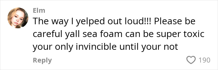 Comment cautioning about toxic sea foam, highlighting potential dangers. Comment cautioning about toxic sea foam, highlighting potential dangers.