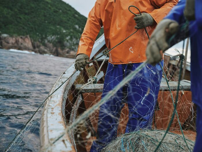 Deep-sea fisherman in orange gear handling nets on a boat, related to "alien" fish discovery.
