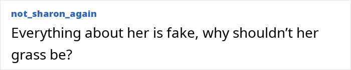 Comment about fake grass on a mansion, questioning authenticity.