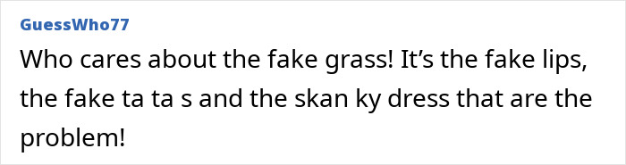 Comment criticizing fake grass and appearance in a conversation about a mansion.