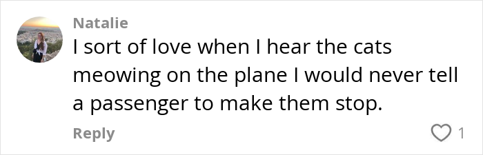 Comment on a social media platform about cats meowing on a plane, expressing love for the sound. Comment on a social media platform about cats meowing on a plane, expressing love for the sound.