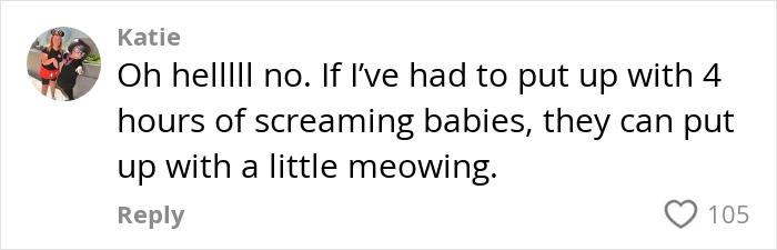 Comment discussing cat noise on a plane with a reaction count of 105. Comment discussing cat noise on a plane with a reaction count of 105.
