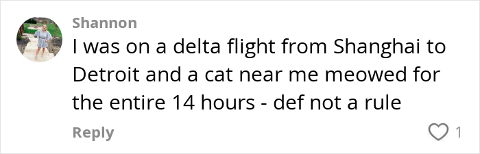 Text comment about a cat meowing for 14 hours on a Delta flight. Text comment about a cat meowing for 14 hours on a Delta flight.