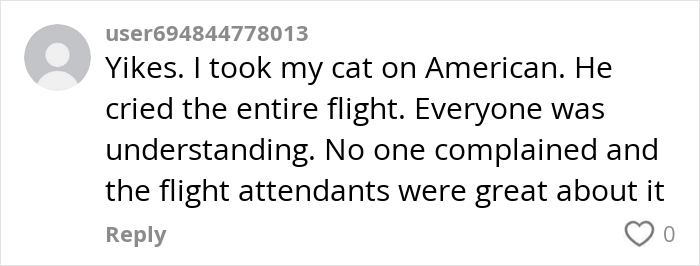 Comment from a user about a cat on a flight, praising flight attendants' handling of the situation. Comment from a user about a cat on a flight, praising flight attendants' handling of the situation.