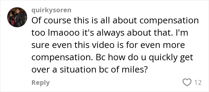 Comment discussing compensation, related to flight attendant and cat incident, with 12 likes. Comment discussing compensation, related to flight attendant and cat incident, with 12 likes.