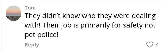 Social media comment discussing flight attendant and pet policy on planes. Social media comment discussing flight attendant and pet policy on planes.