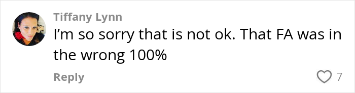 Comment saying "That FA was in the wrong 100%" in response to a pet cat incident on a plane. Comment saying "That FA was in the wrong 100%" in response to a pet cat incident on a plane.