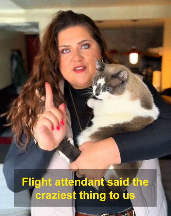 Person holding a cat indoors with text about a flight attendant speaking. Person holding a cat indoors with text about a flight attendant speaking.