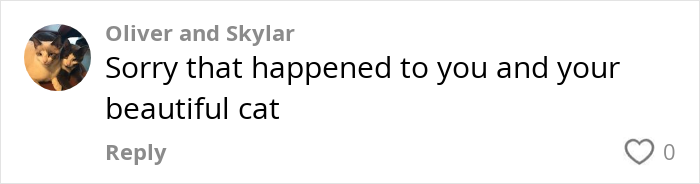 Oliver and Skylar's comment about a flight attendant's issue with a pet cat. Oliver and Skylar's comment about a flight attendant's issue with a pet cat.