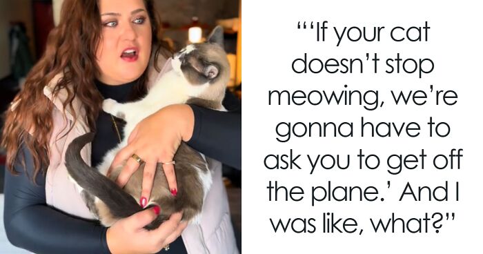“Are You Serious?”: Woman Is Told She Might Need To Get Off Plane Over Meowing Cat