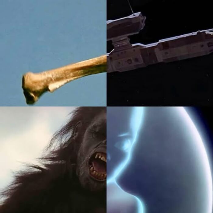 Collage of a bone, spaceship, ape, and glowing orb symbolizing evolution; relates to mental health memes.