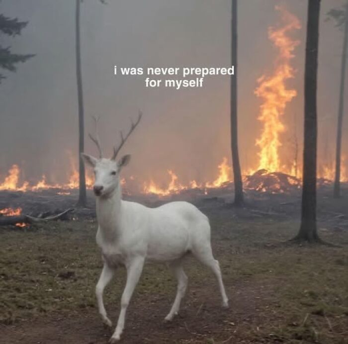 White deer in forest with fire in background, text reads "I was never prepared for myself," depicting mental health meme.