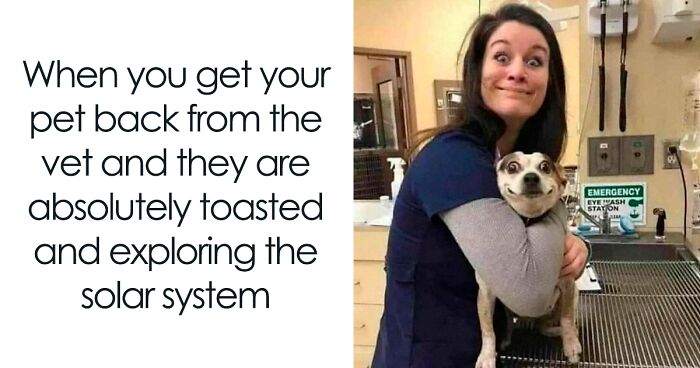 50 Funny Pics Featuring All Kinds Of Animals To Brighten Up Your Day (New Pics)