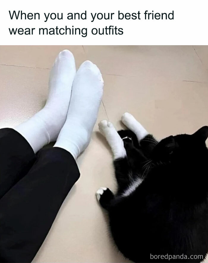 Person in white socks sitting next to a black and white cat in play mode on the floor.