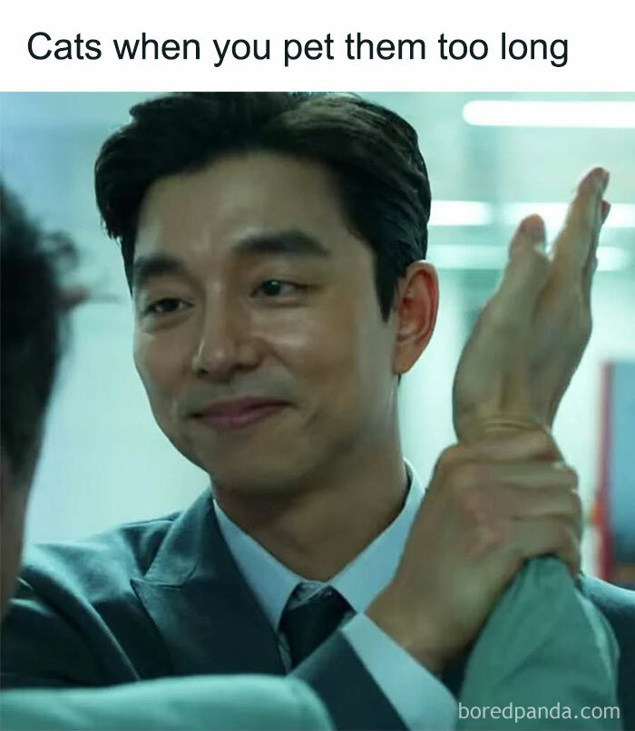 Man smiling and gently gripping someone's wrist, capturing a cat in play mode humorously.