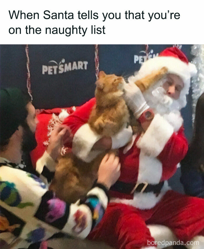 Cat in play mode swats at Santa, surrounded by festive decorations and amused people.