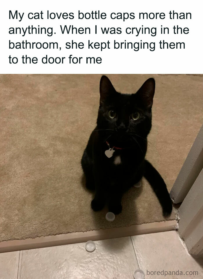 Black cat in play mode, surrounded by bottle caps, sitting at a door on a carpeted floor.