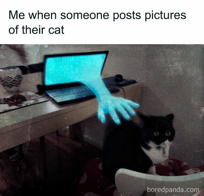A blue hand reaching out from a laptop screen towards a cat, capturing feline attitude humorously.